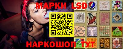 шишки Волгодонск