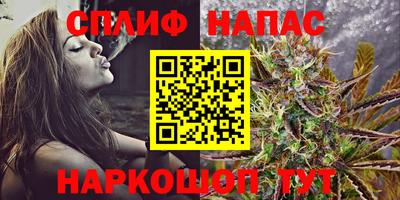 шишки Волгодонск