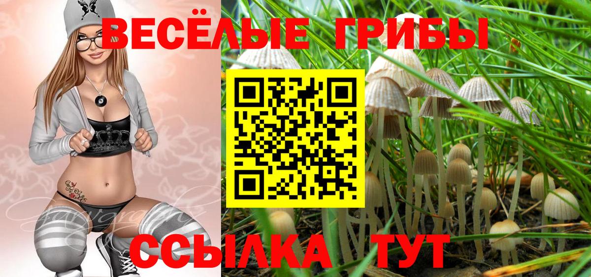 Галлюциногенные грибы мицелий Горячий Ключ