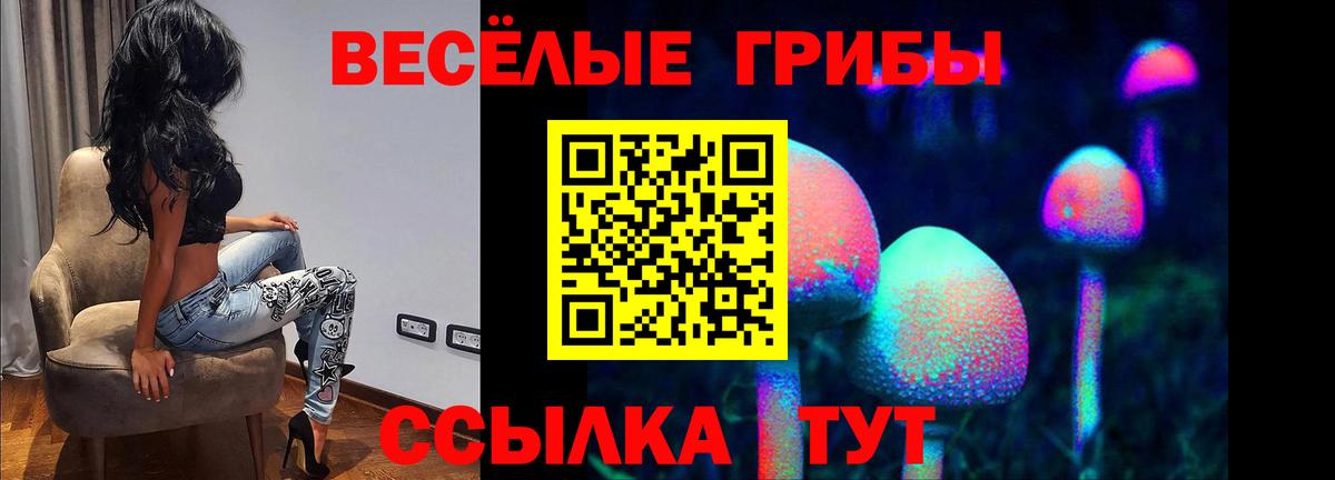 цены   Горячий Ключ  Галлюциногенные грибы Magic Shrooms 