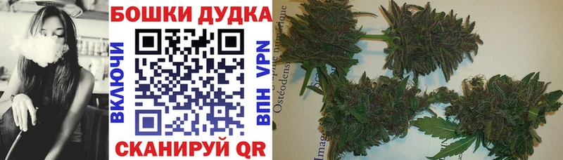 KRAKEN онион  купить наркотики цена  Горячий Ключ  Бошки марихуана тримм 