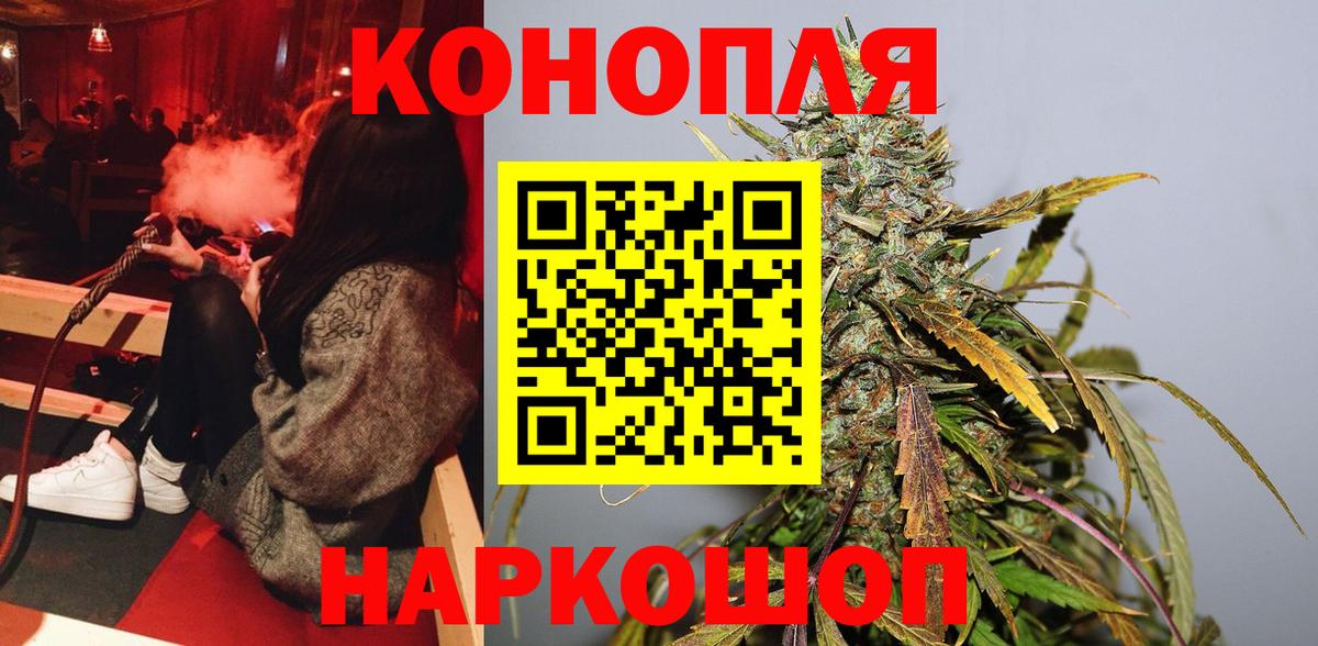 Каннабис планчик Горячий Ключ